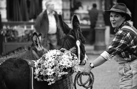 autor: paulo rodrigues