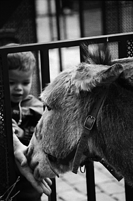 autor: paulo rodrigues