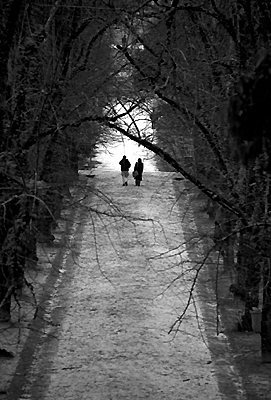 author : Sofia Quintas                    