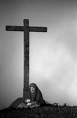 auteur : Sofia Quintas                    