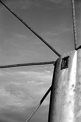 autor: Sofia Quintas