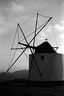 autor: Sofia Quintas