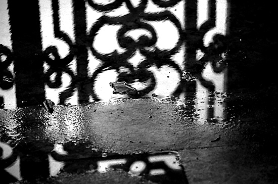 autor: Sofia Quintas