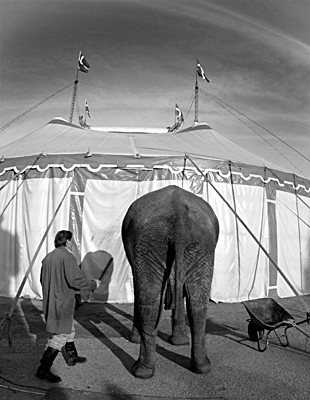 autor: Daniel Navarro