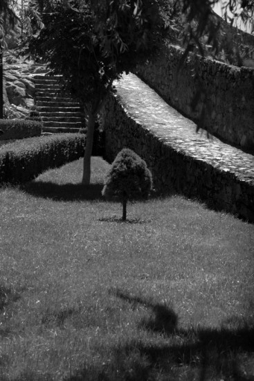 autor: paulo rodrigues