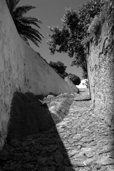 autor: paulo rodrigues