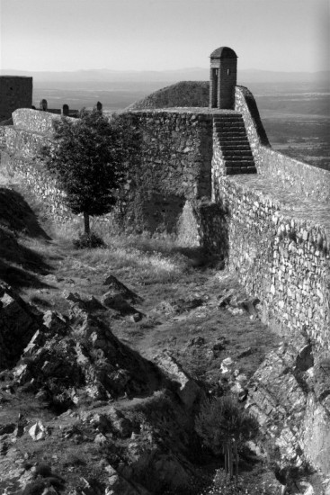 autor: paulo rodrigues