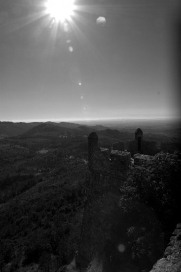 autor: paulo rodrigues