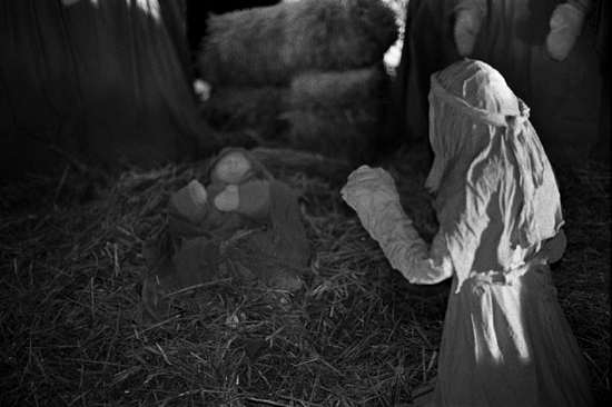 autor: paulo rodrigues