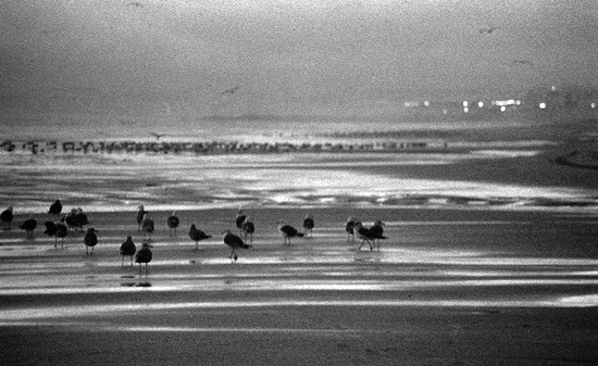 author: João Varela