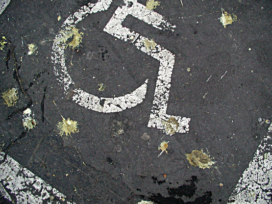 autor: Alain-Gilles Bastide
t&iacute;tulo: Les pigeons