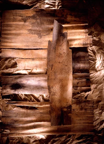 autor: Jeremy Webb
t&iacute;tulo: wood strips on brown