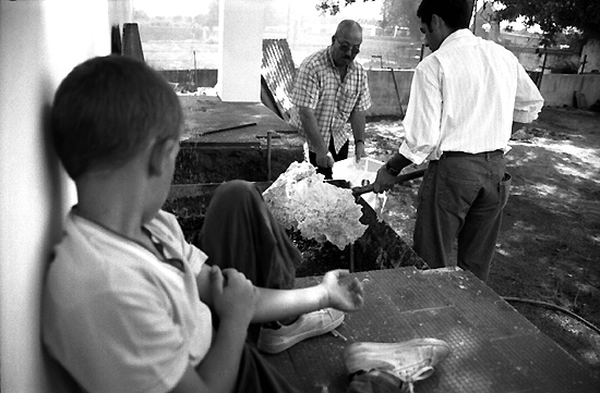 autor: Sofia Quintas