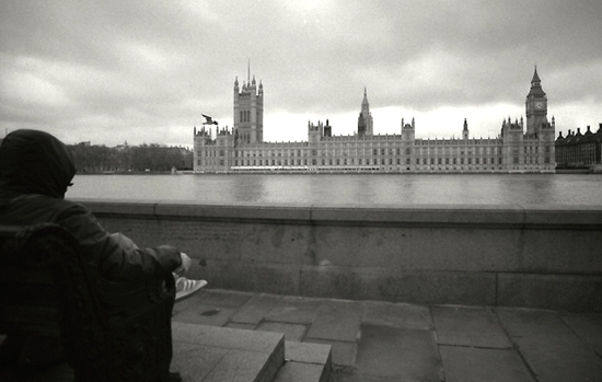 autor: Manuel Luís Cochofel