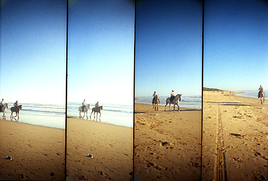 autor: Sofia Quintas