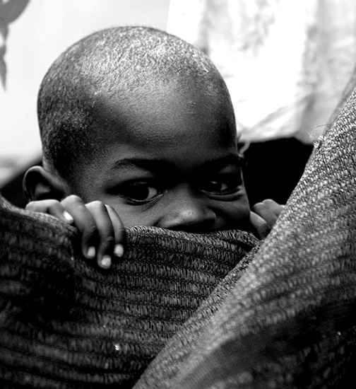 author : José Silva Pinto                    title: S/T