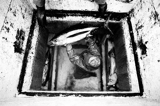 autor: Txomin  Txueka