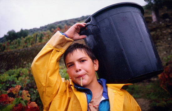 autor: José Gonçalves
t&iacute;tulo: Douro 1