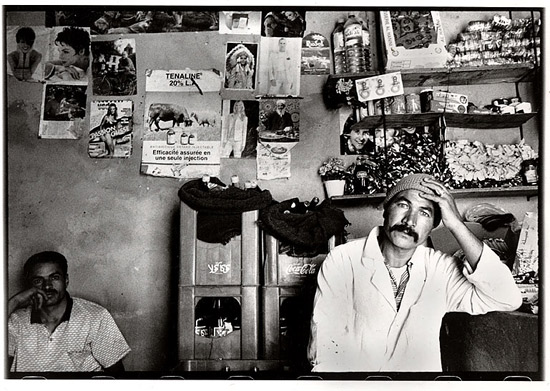 autor: Stefan Rohner
t&iacute;tulo: 15