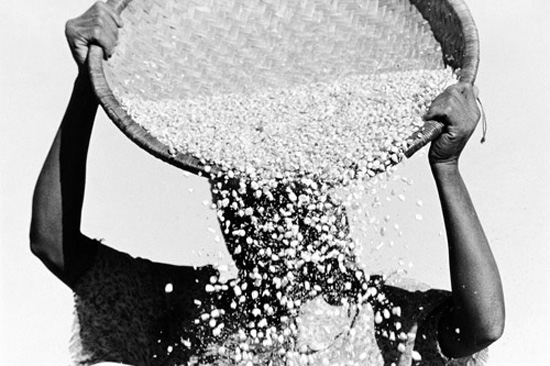 autor: Filipe Condado