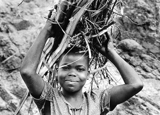 autor: Filipe Condado