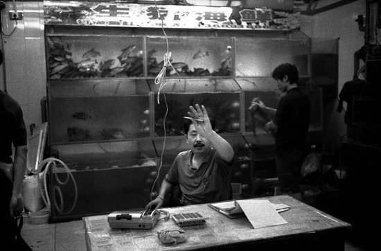 autor: Pedro Guimarães