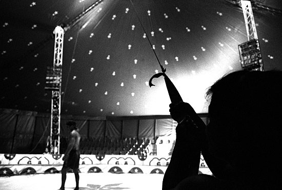 auteur: Sofia Quintas