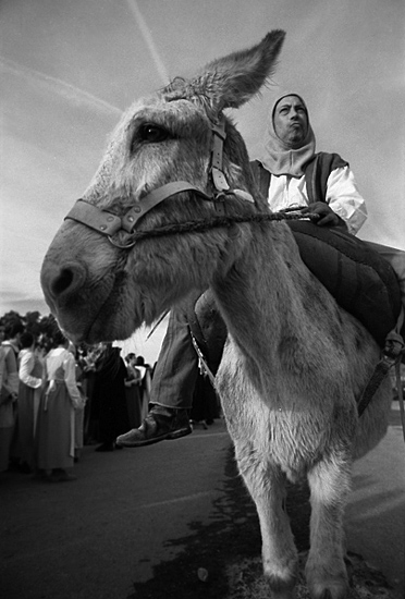 author: Manuel Luís Cochofel