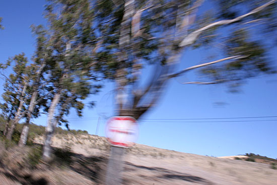 autor: Sofia Quintas