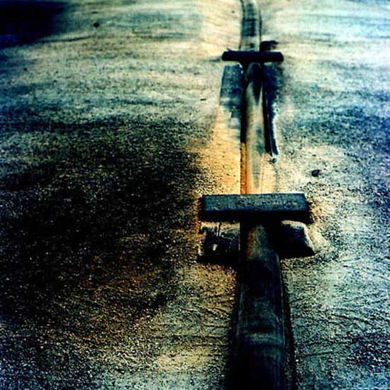 autor: Catarina Costa Cabral