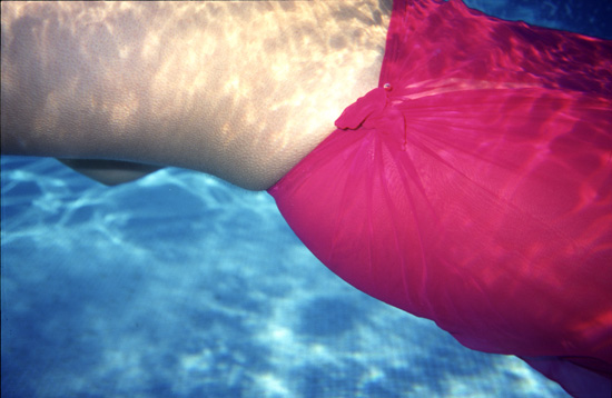 autor: Casimira Matos