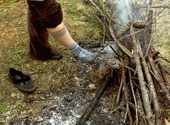 autor : Rui Dias Monteiro                    