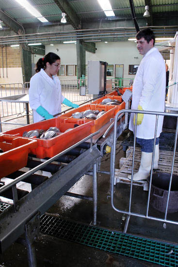 autor: Sofia Quintas