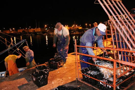 autor: Sofia Quintas