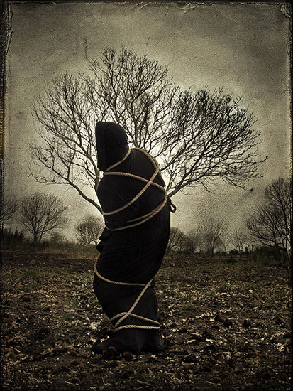 autor: Ricardo Tavares
t&iacute;tulo: mindsnare