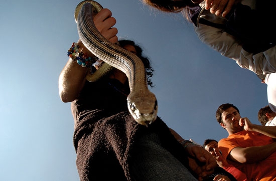 autor : Patricia Moreira                    