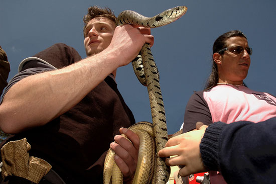 auteur: Patricia Moreira