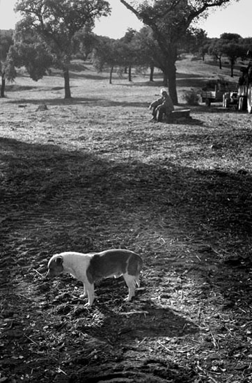 autor: Marcin Gorski