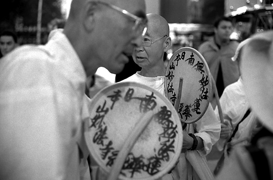 autor: Manuel Luís Cochofel