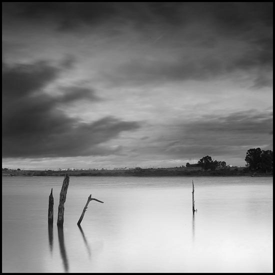 autor: Carlos Matos
t&iacute;tulo: estruturas&coberturas-V