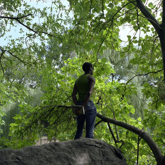 author: Rui Dias Monteiro