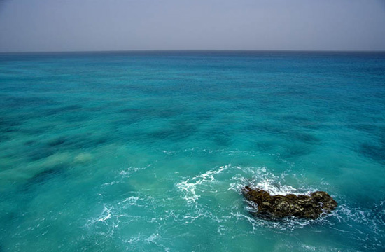 autor: Luis Filipe Catarino