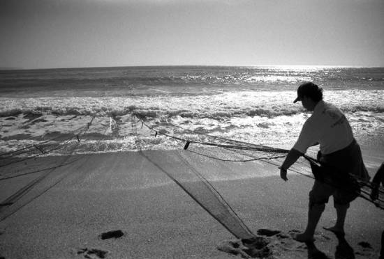 autor: Sofia Quintas