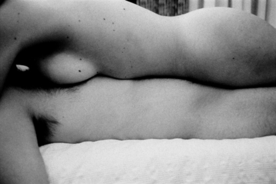 autor: Luís Rocha
t&iacute;tulo: Relatos falsos para um falso diário #11