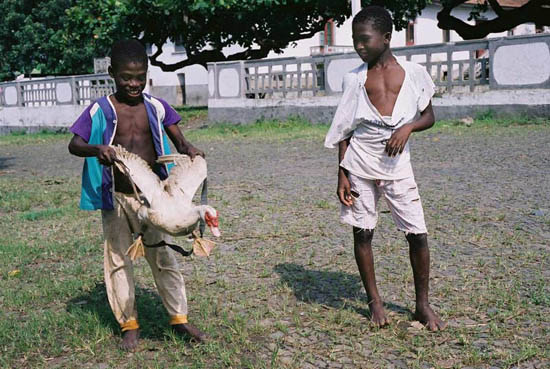 autor: Tânia Araújo