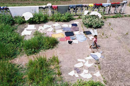 autor: Tânia Araújo