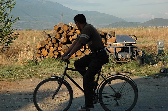 autor : Yves Rousselet                    t&iacute;tulo: La réserve de bois