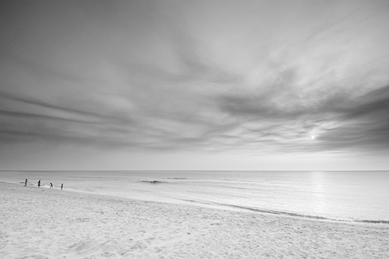 autor: António Luís Campos