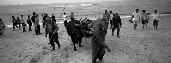 autor: Luísa Ferreira