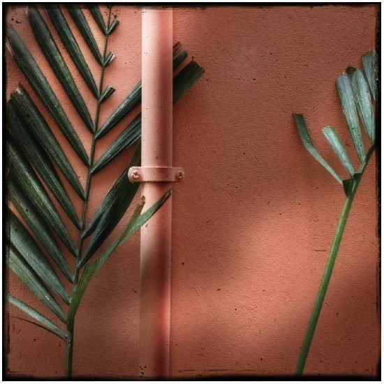 autor: Raoul Iacometti
t&iacute;tulo: Floreal Beauty